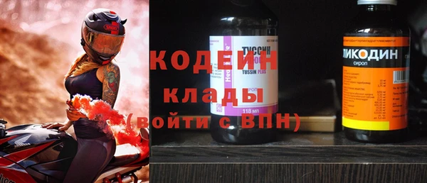 прущие грибы Волосово